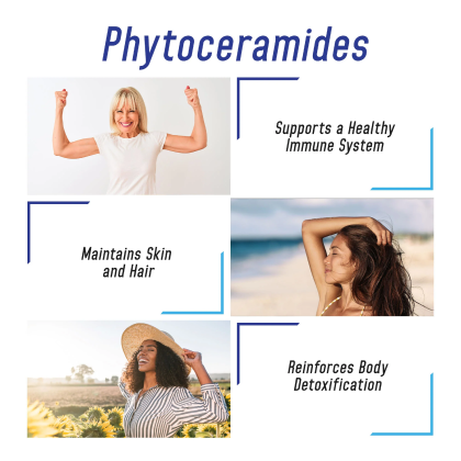 Phytoceramides